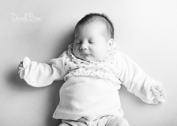 Darcie 9542002