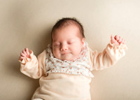Darcie 9549007