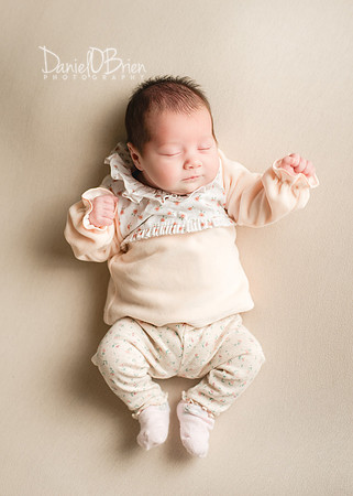 Darcie 9546005