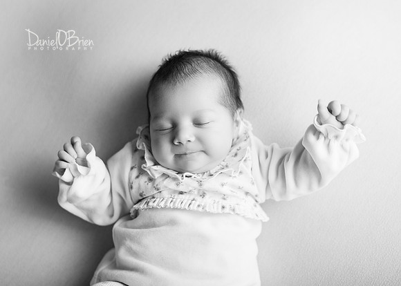 Darcie 9549008
