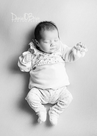 Darcie 9546006