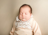 Darcie 9553011