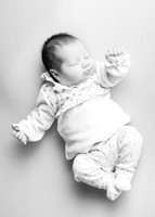 Darcie 9555014