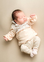 Darcie 9555013