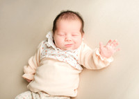 Darcie 9556015