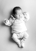 Darcie 9545004