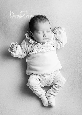 Darcie 9545004