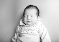 Darcie 9553012