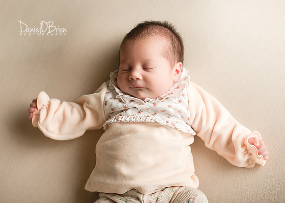 Darcie 9542001