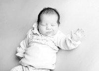Darcie 9556016