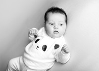 Annie 0454002