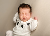 Annie 0456003