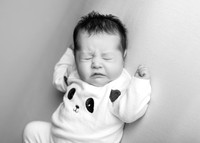 Annie 0456004