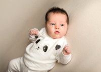 Annie 0454001