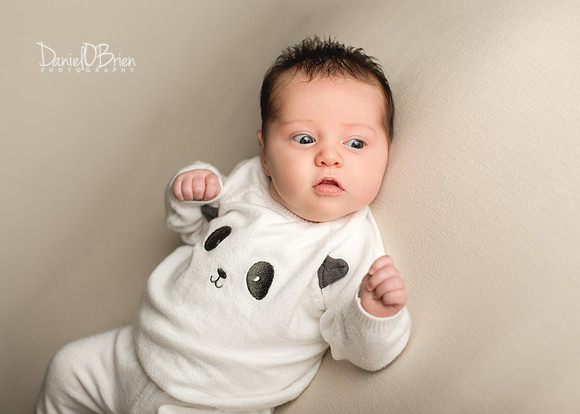 Annie 0454001