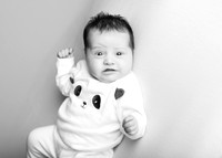 Annie 0458006