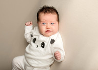 Annie 0458005