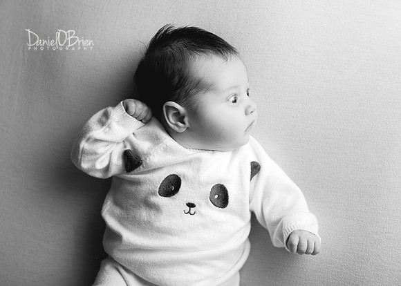 Annie 0462010