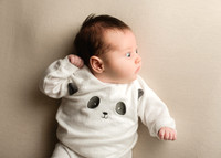 Annie 0462009