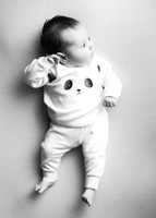 Annie 0464012