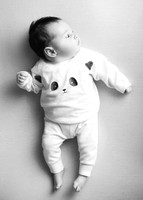 Annie 0470016