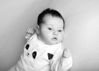 Annie 0479020