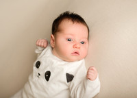 Annie 0479019