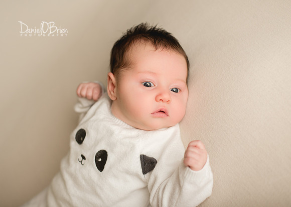 Annie 0479019