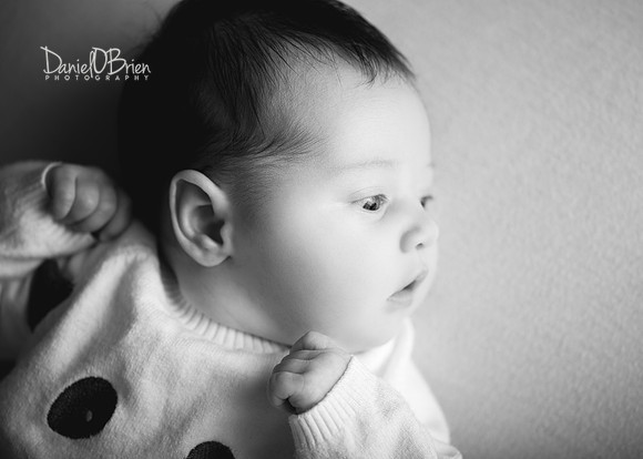 Annie 0485022
