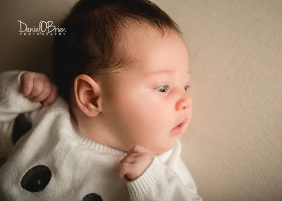 Annie 0485021