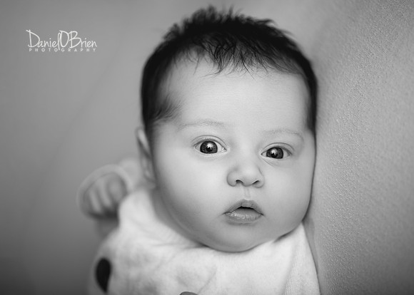 Annie 0492026