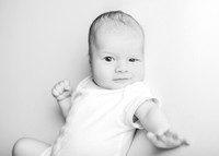 Noah 2919002