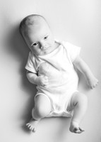 Noah 2921004