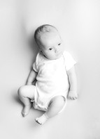 Noah 2926006