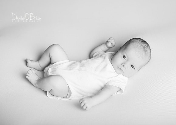 Noah 2929008
