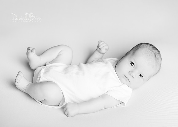 Noah 2930010