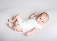 Noah 2929007