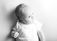 Noah 2932012