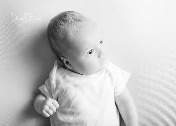 Noah 2932012