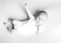 Noah 2938014