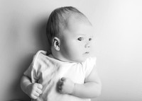 Noah 2941016