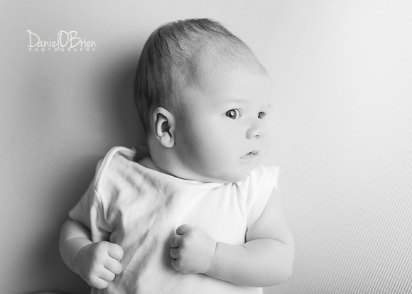 Noah 2941016