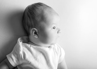 Noah 2949018