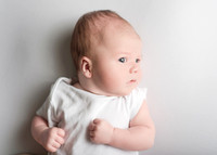 Noah 2941015