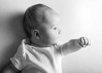 Noah 2951020