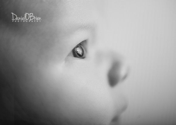 Noah 2957024