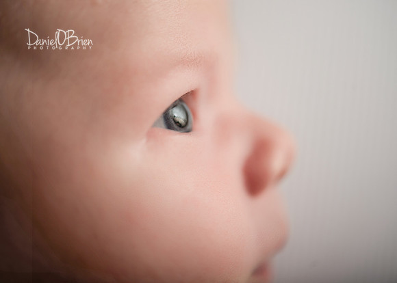 Noah 2957023