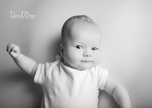 Noah 2952022