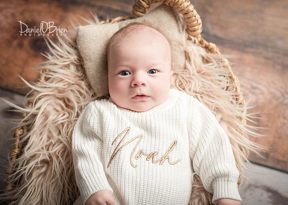 Noah 3006039