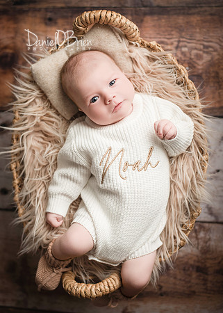 Noah 3012041